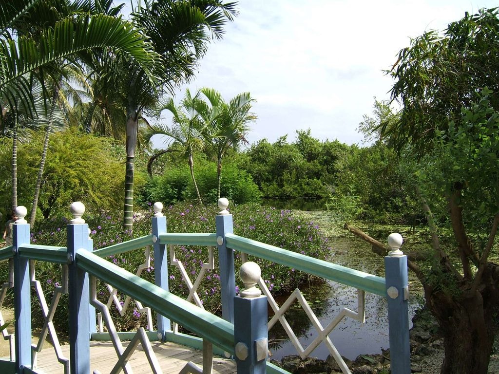 Botanic Park bridge, Cayman jigsaw puzzle in Ann Stafford puzzles on TheJigsawPuzzles.com